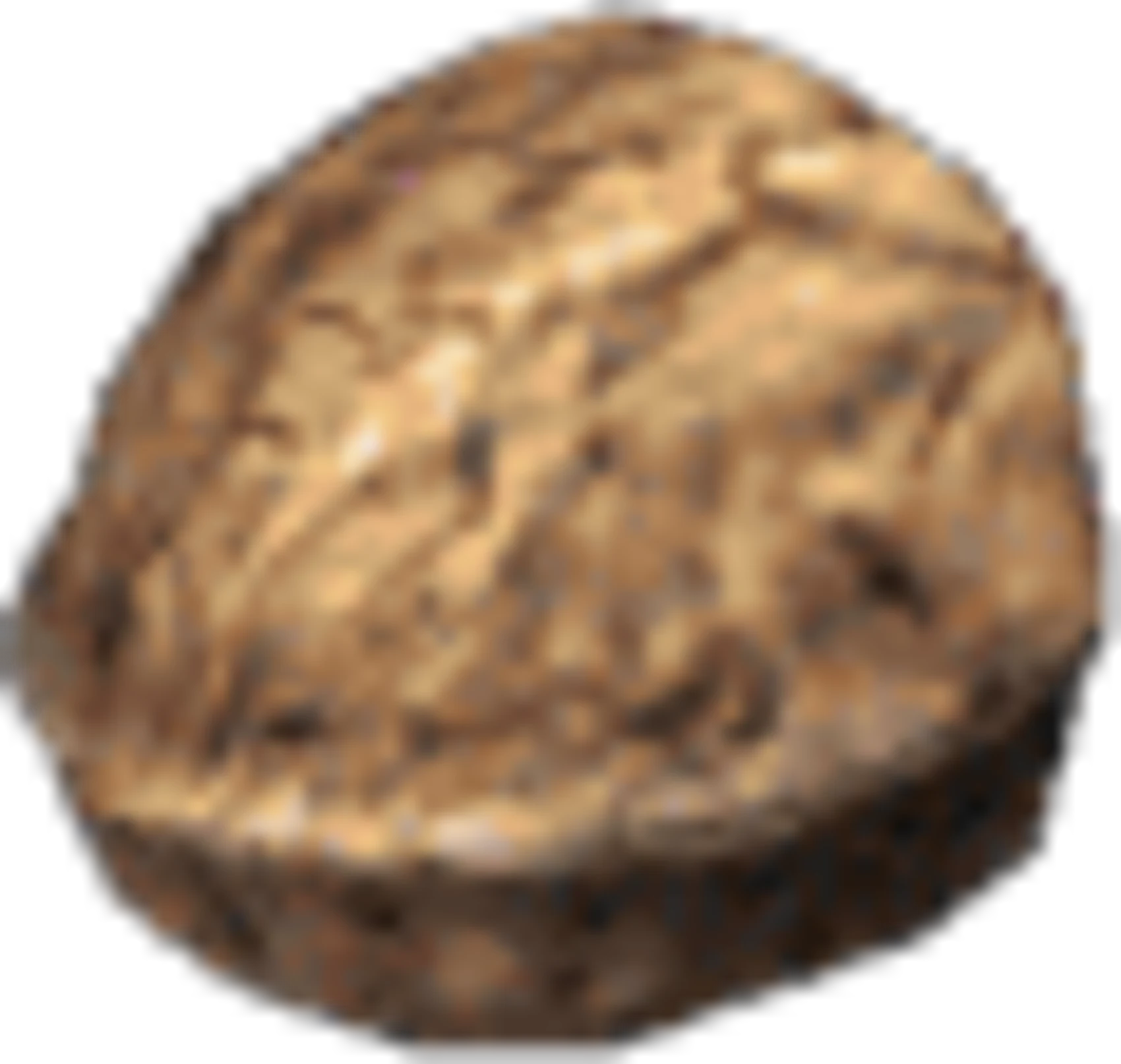 Silent Hill 3 Items Walnut