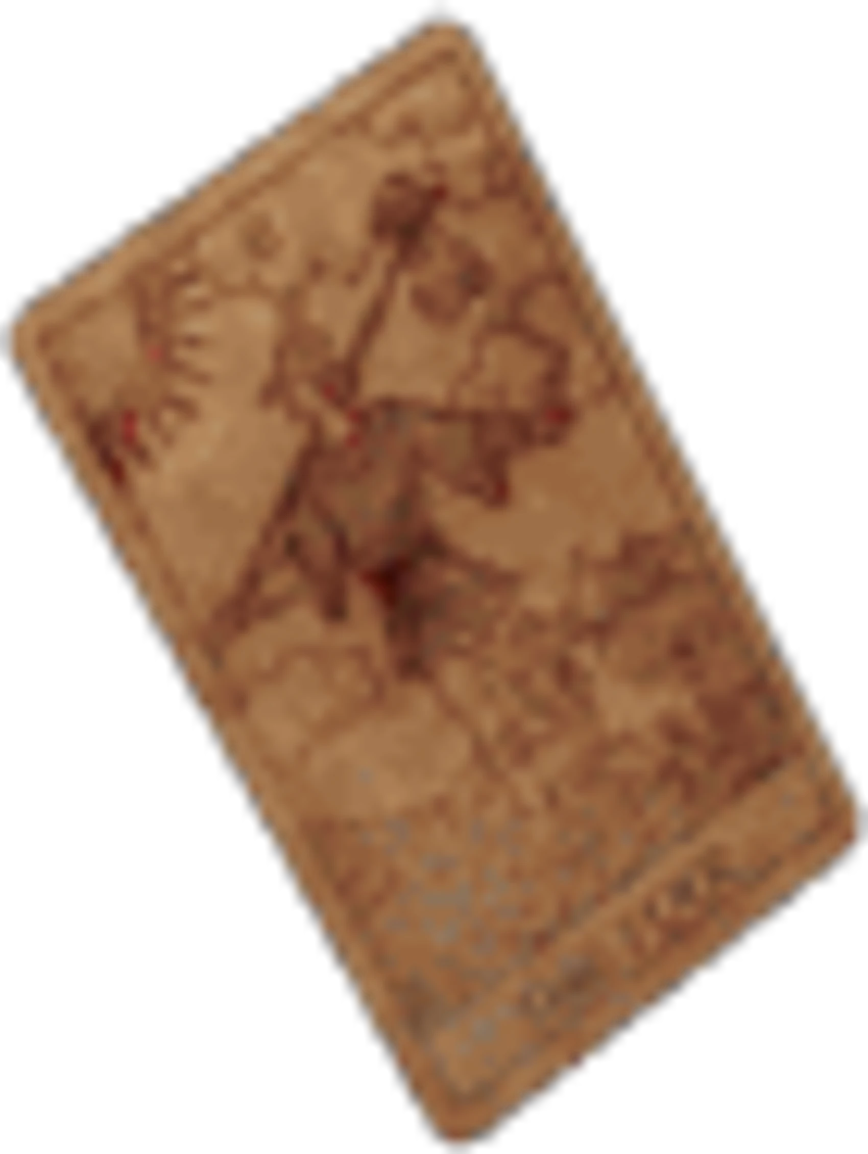 Silent Hill 3 Items "Fool" Tarot Card