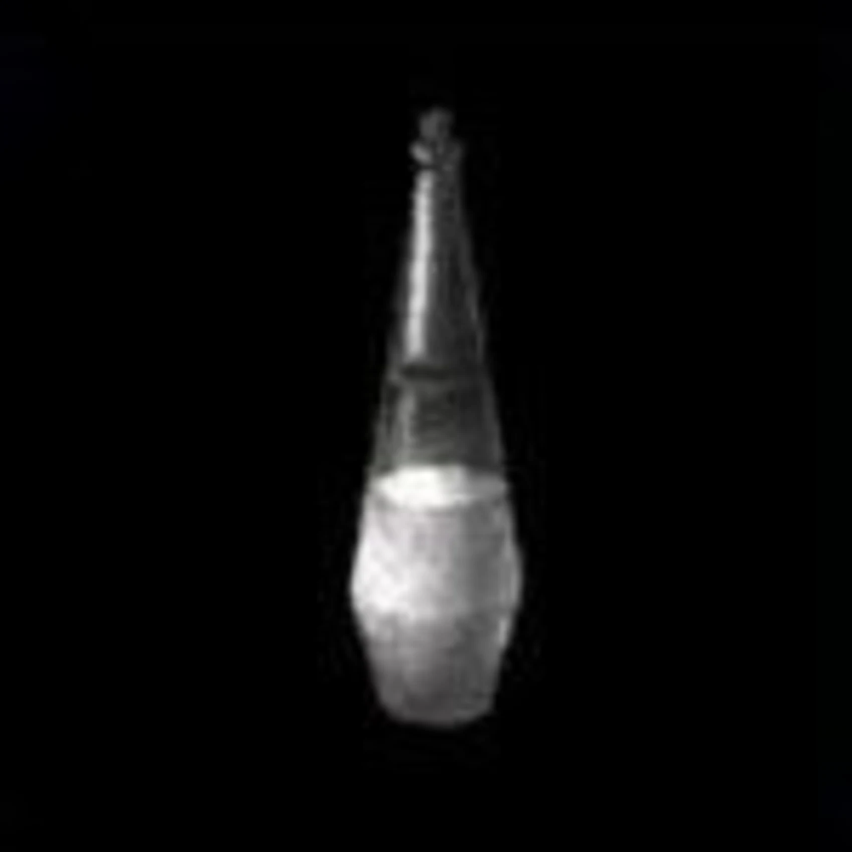 Silent Hill 2 Items White Chrism