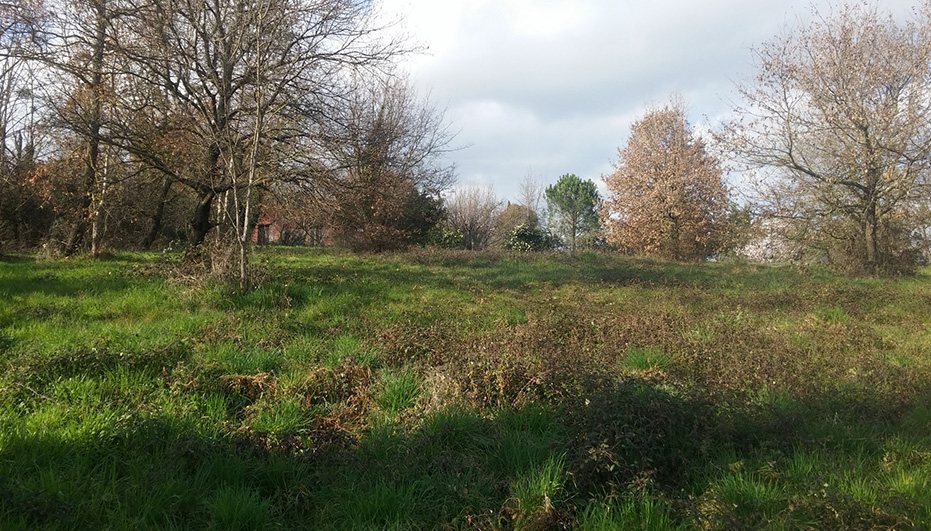 La Clairère du Trujol