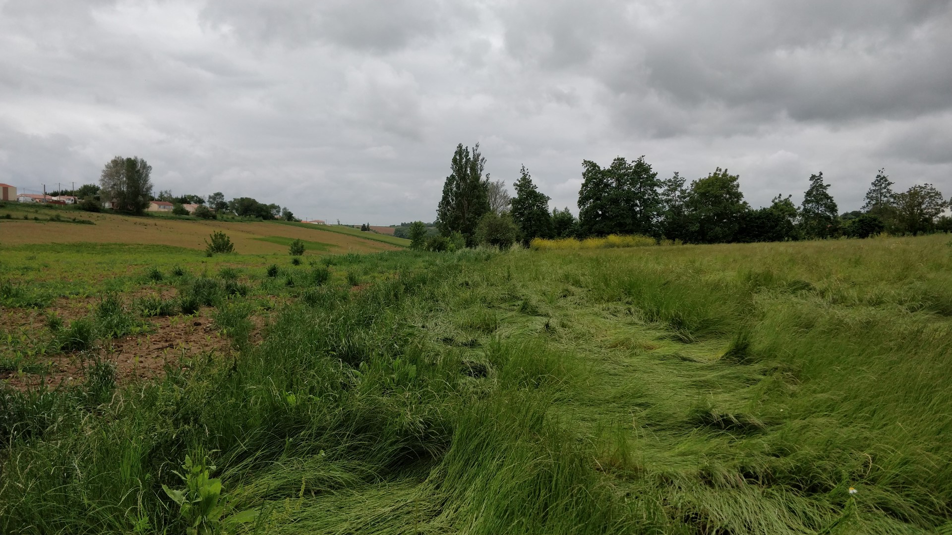 Le Clos de Souleilla