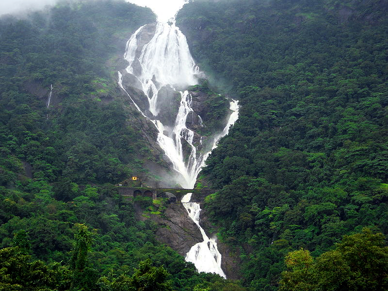 DANDELI