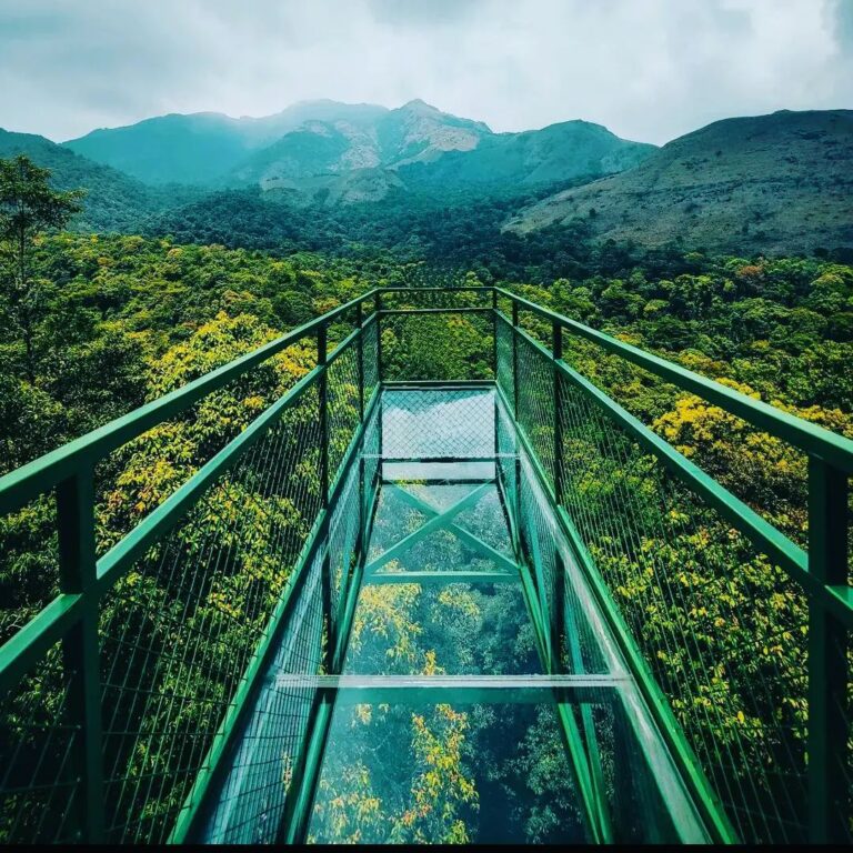 WAYANAD