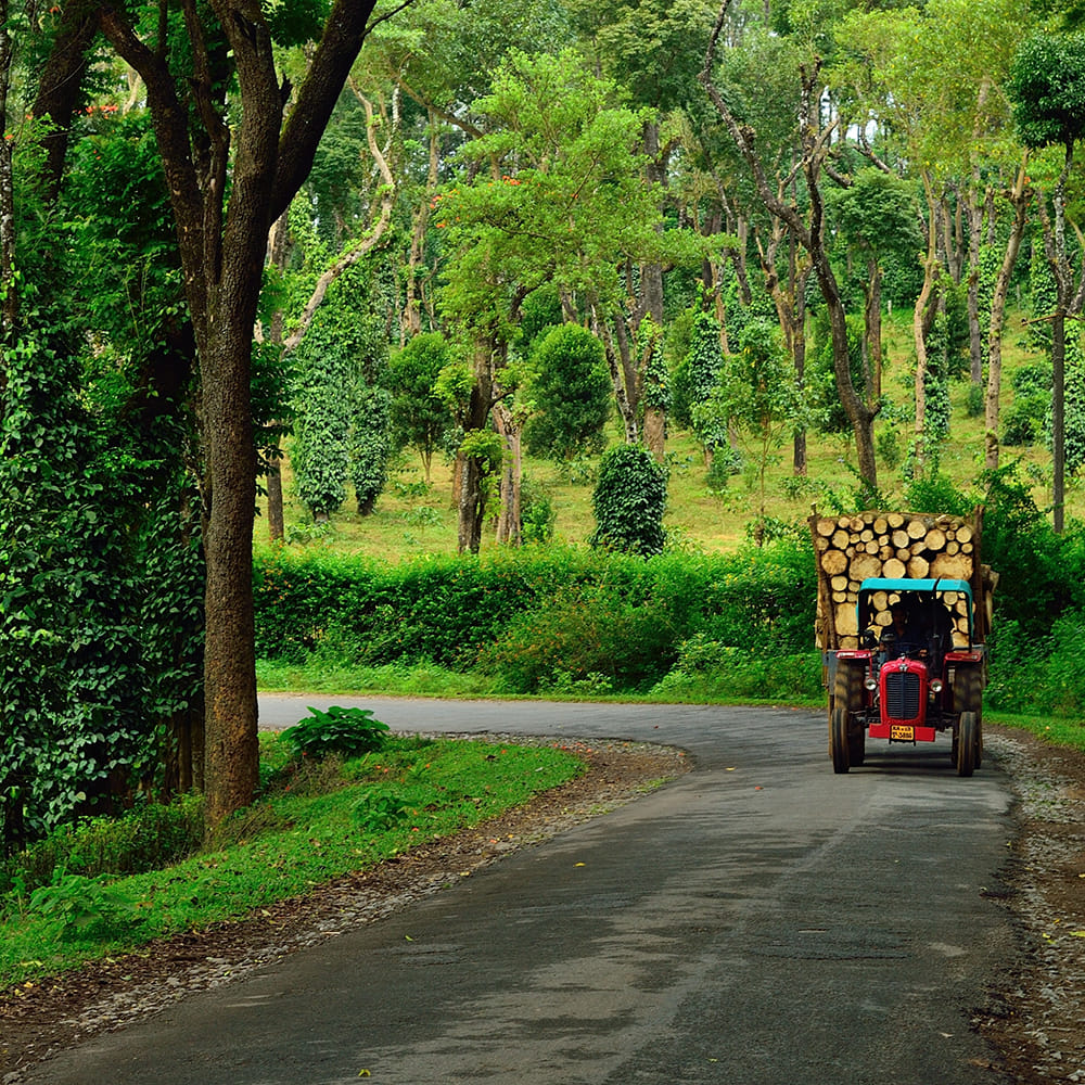 COORG
