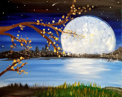 Full moon Night
