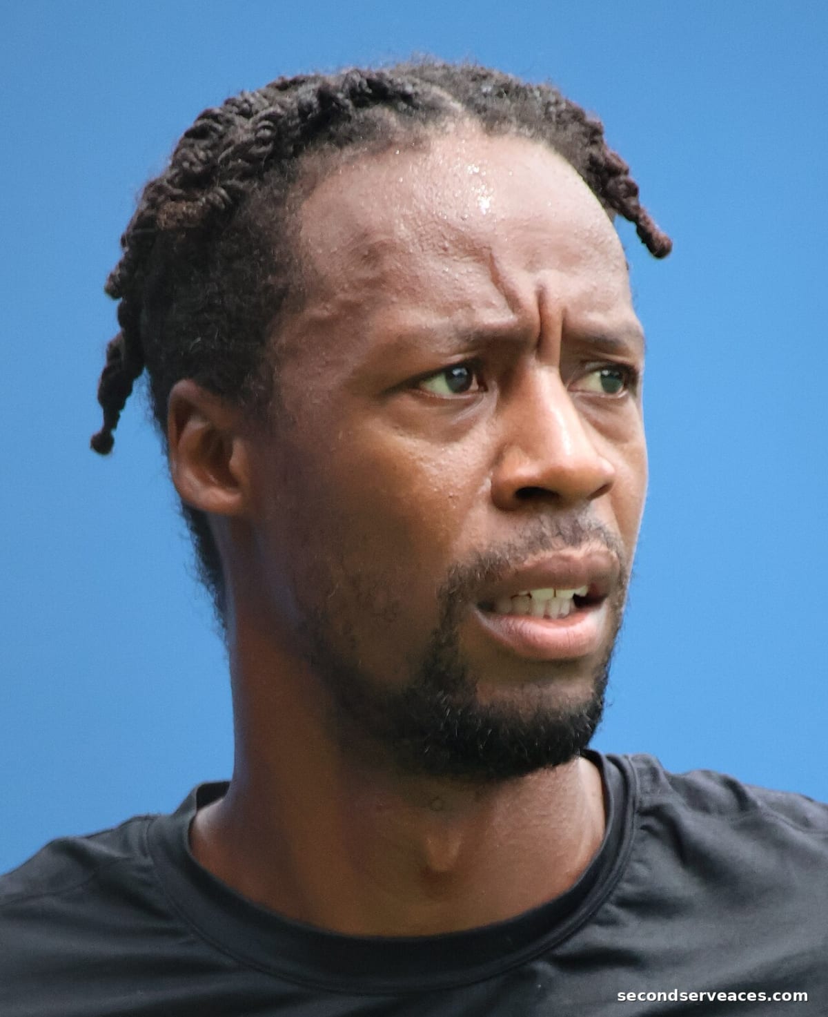 2026 French Open Injury Woes: Musetti and Fils Withdraw