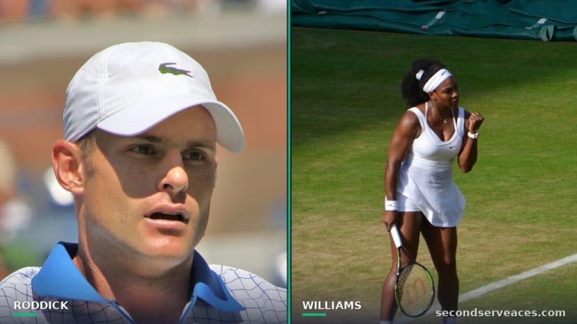 Andy Roddick Advocates for Serena Williams Hall of Fame Rule Change