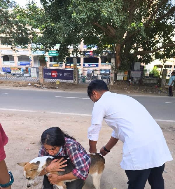 A feeder and paravet holding a street dog during vaccination