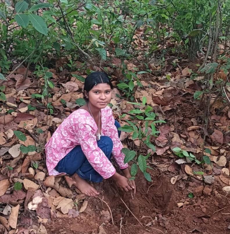 A young girl planting a native sapling on community forest land in Jharkhand