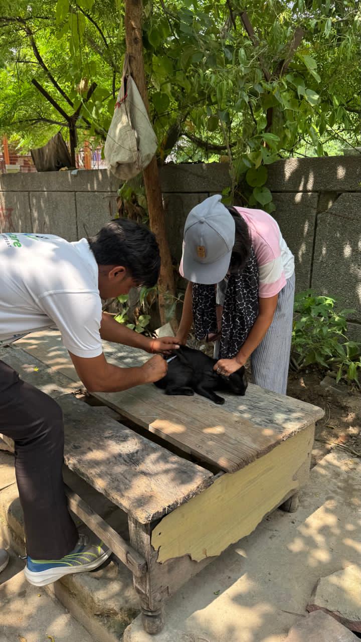 Community Education
