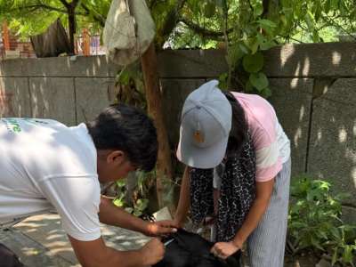 Where to donate for animal welfare India - emergency street animal rescue operations
