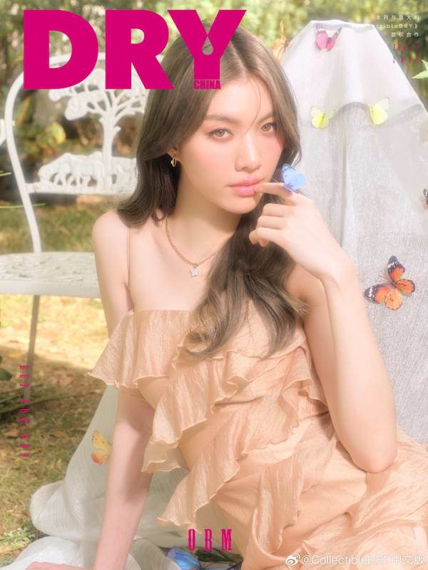 CollectibleDRY中文版