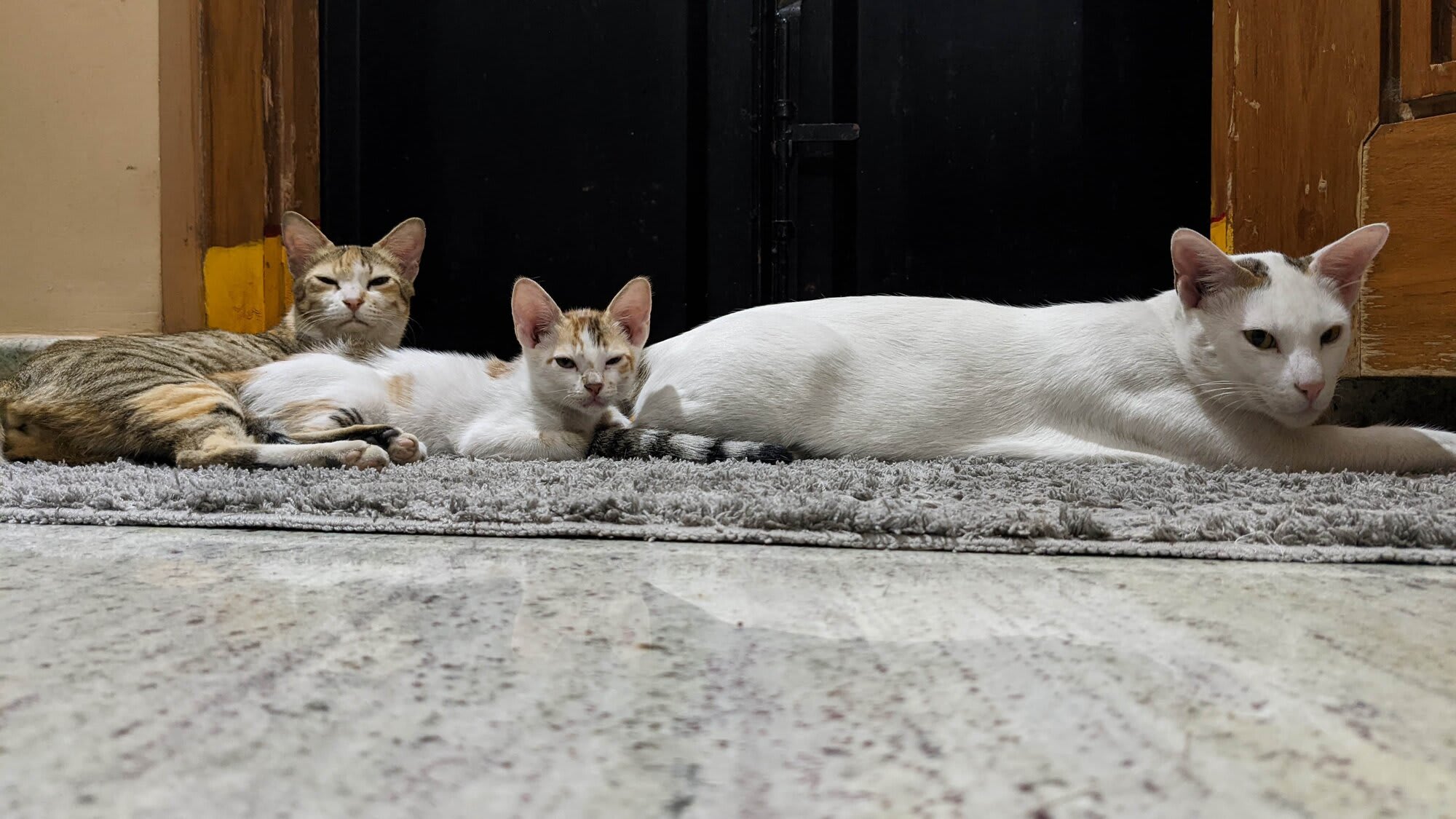 A family portrait. My tomboy is absolutely photogenic.