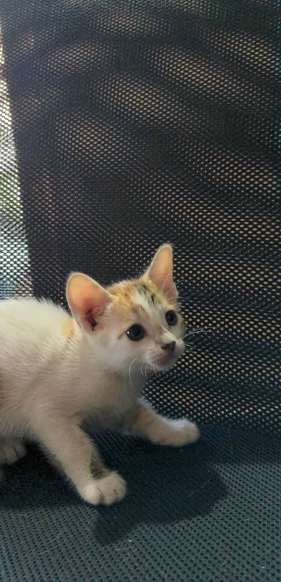 Aww, look at her. Such a cutie.