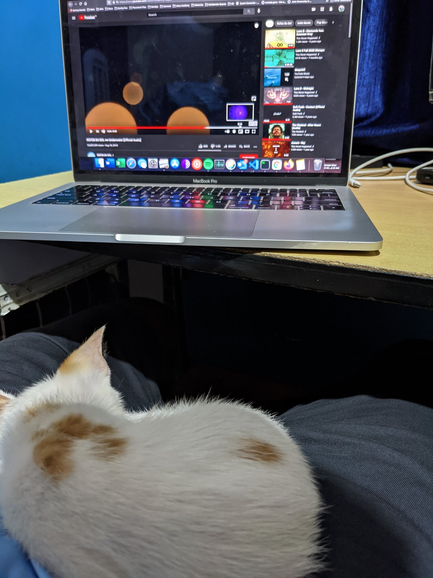 My boys love lying on my lap. Needless to say, I hardly get any work done when this happens.