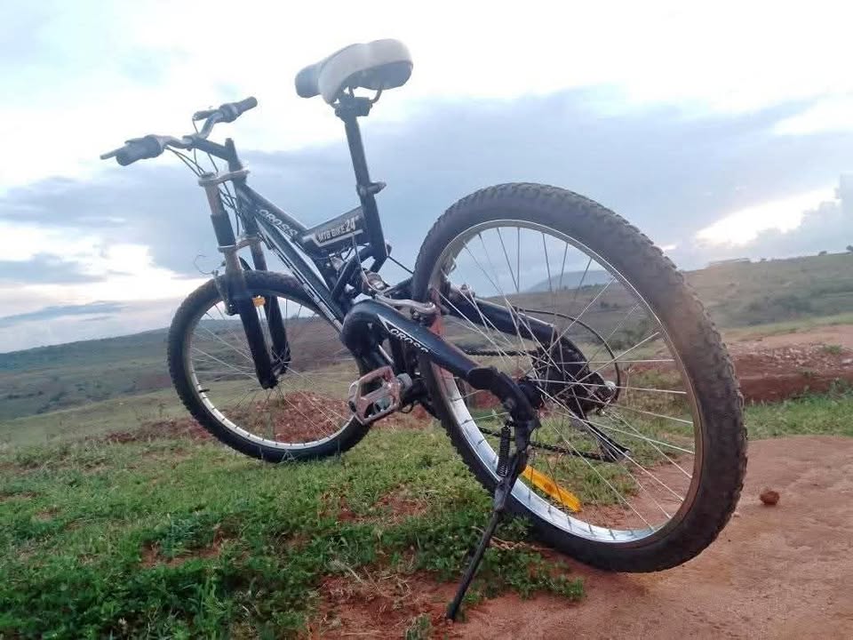 Mountain bike