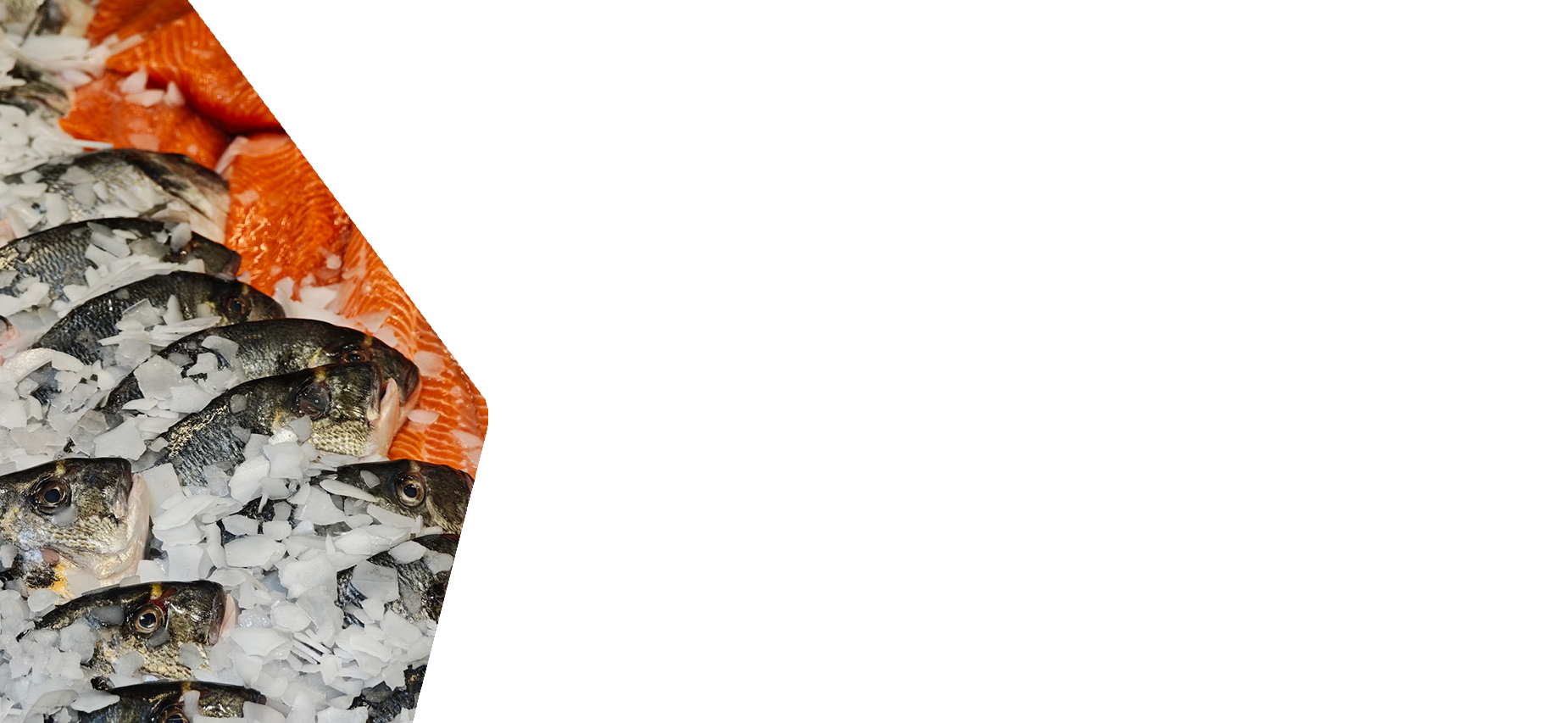 Jodorf Foods - Best Coldstore Foods Supplier +233 53 508 9324