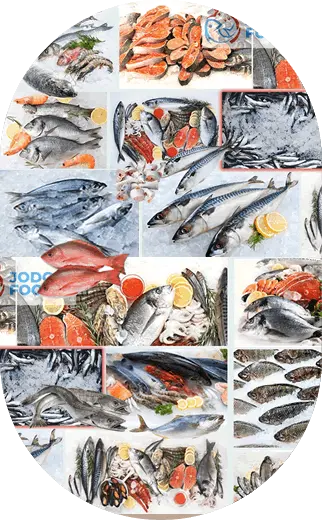 JUtiliseLaFoi.com