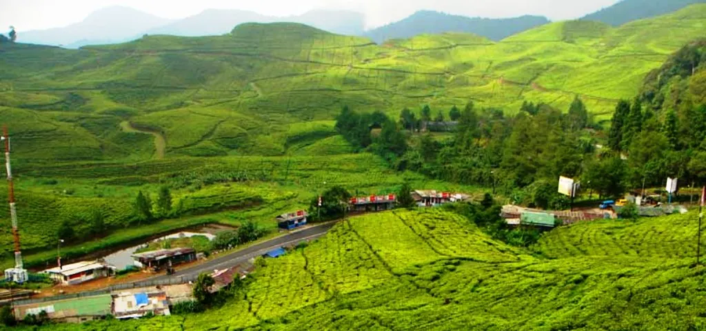tempat wisata puncak bogor