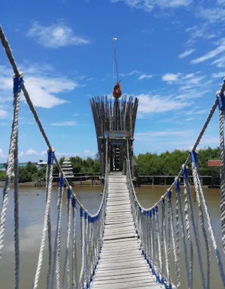 jembatan hutan mangrove jogja
