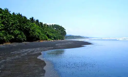 pantai delod berawah
