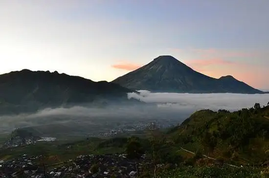 wisata wonosobo