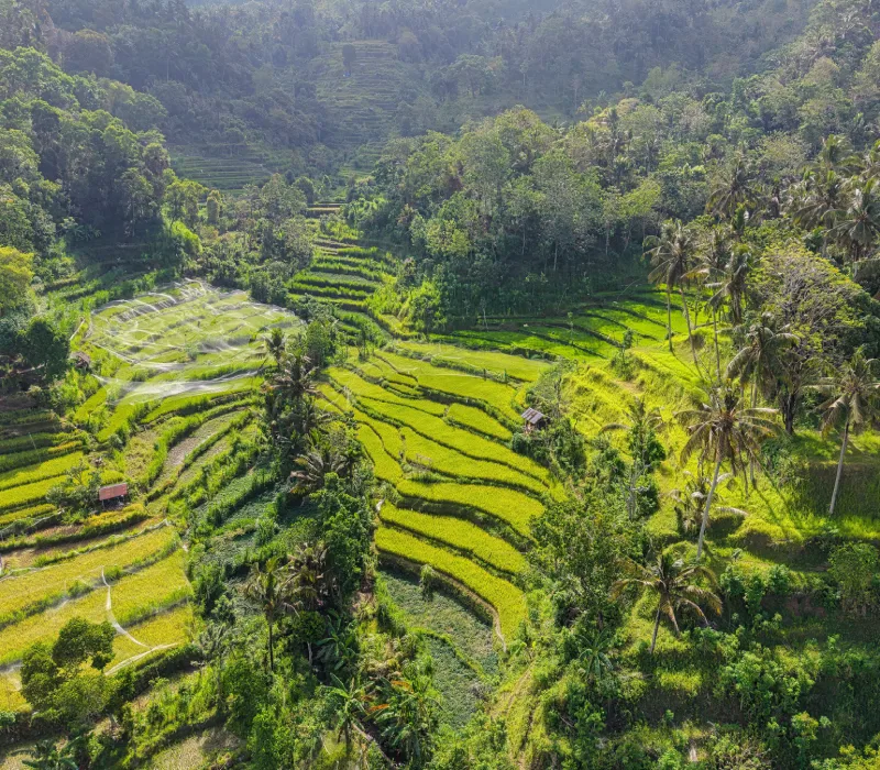 6-Day, 5-Night Bali Group Holiday Package