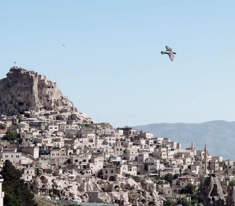 8 Days 7 Nights Turkey Holiday Package: From Istanbul to Cappadocia