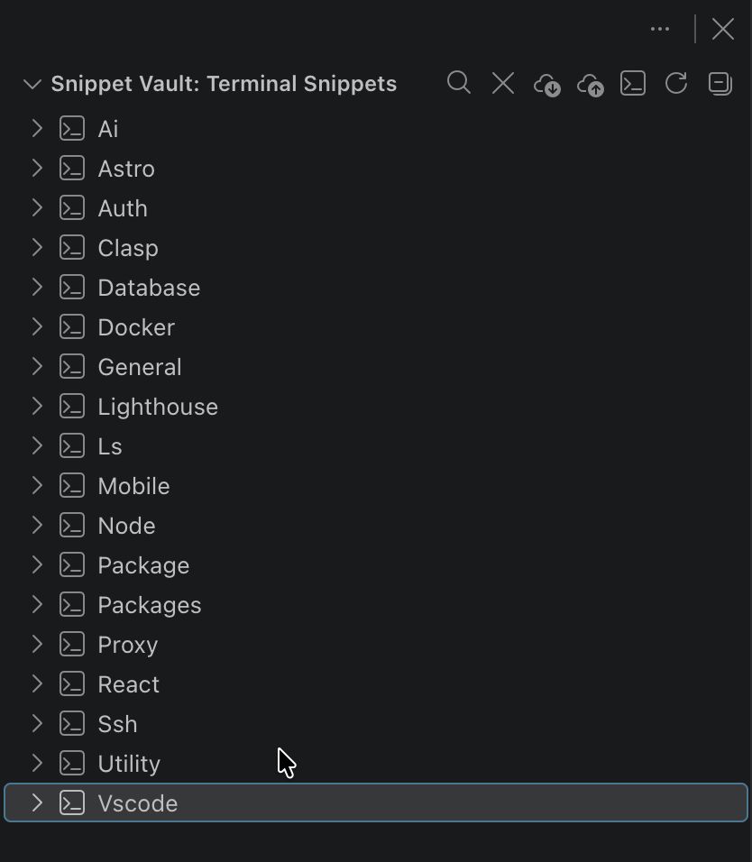 Running a terminal snippet with placeholders