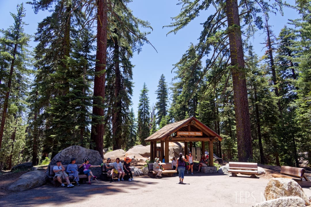 Entrance of General Sherman Tree Trail / Sequoia & Kings Canyon NP, CA