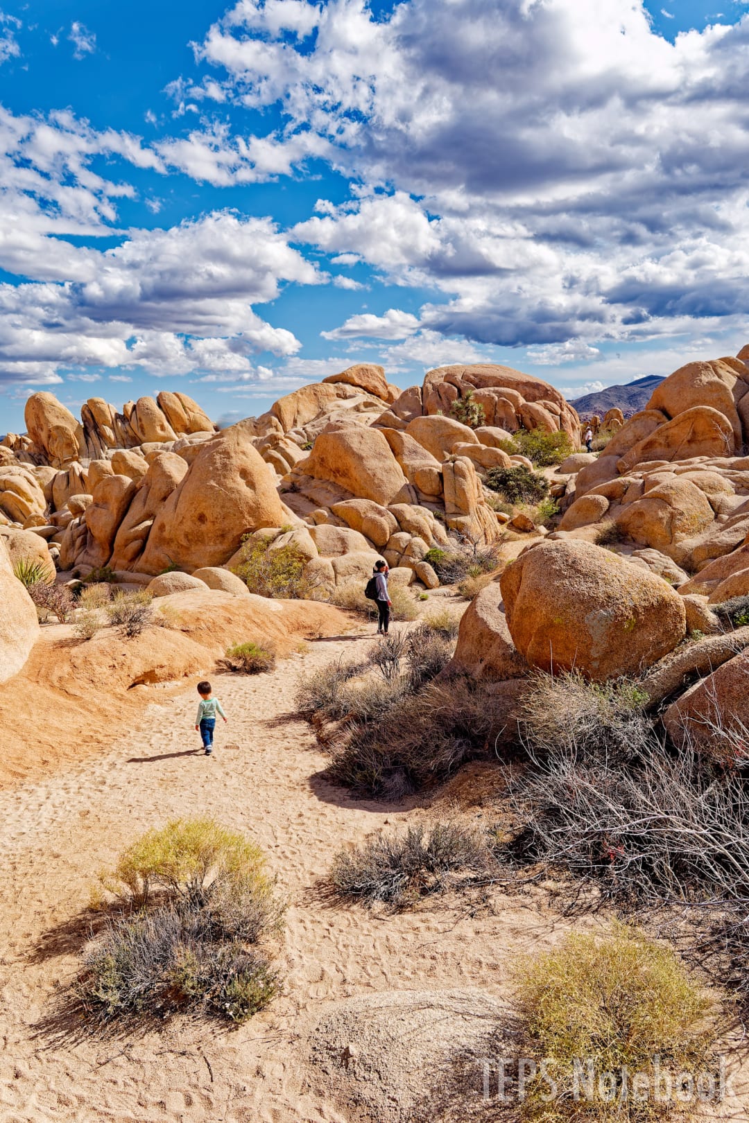 Arch Rock Trailの歩きやすい道