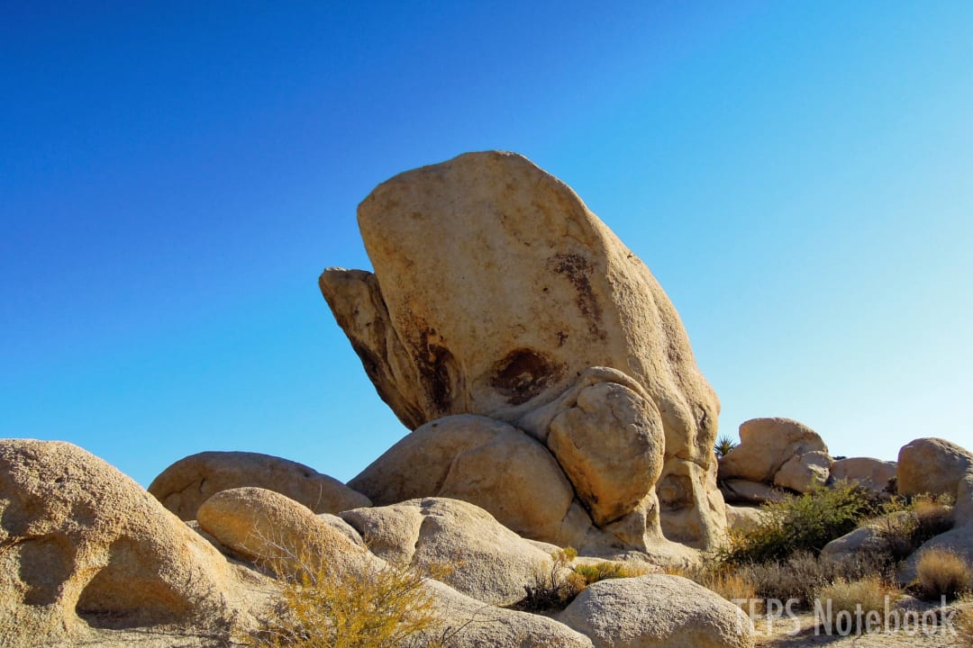 Whale Rock