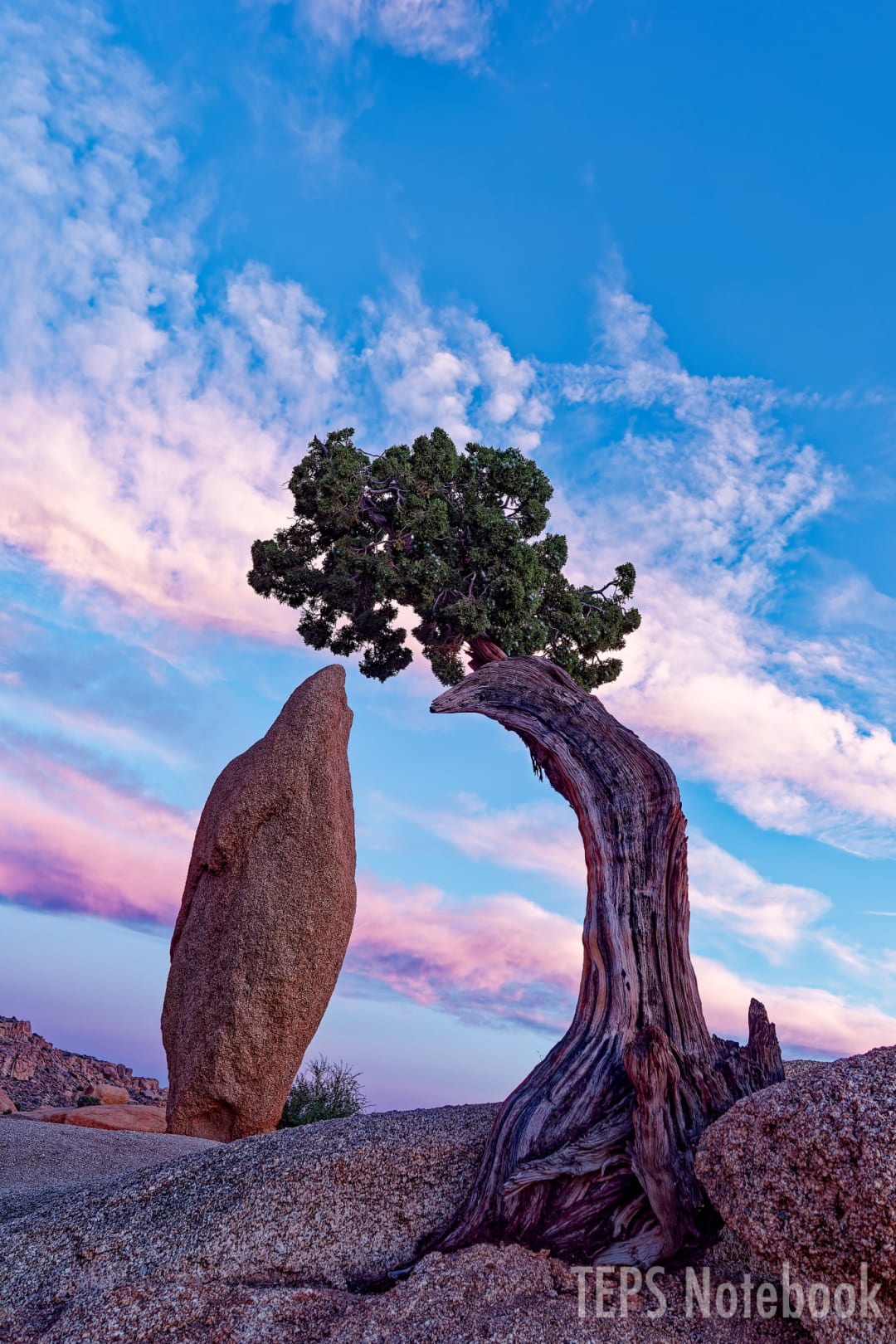 Balanced Rock and Leaning Juniper 日暮れ