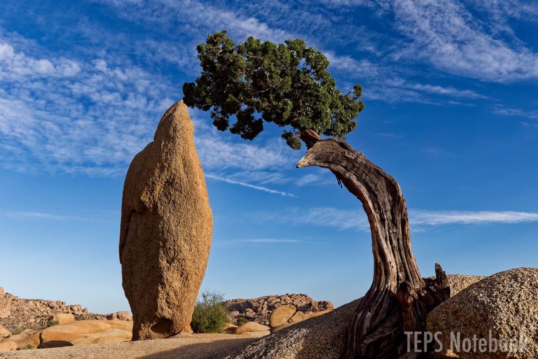Balanced Rock and Leaning Juniper 夕方