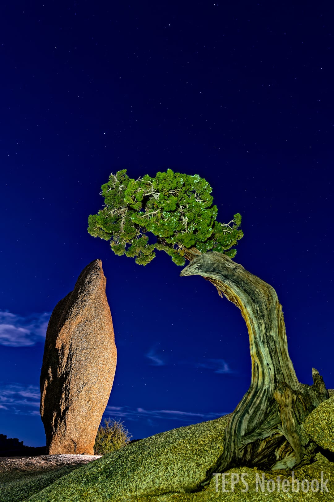 夜のBalanced Rock and Leaning Juniper