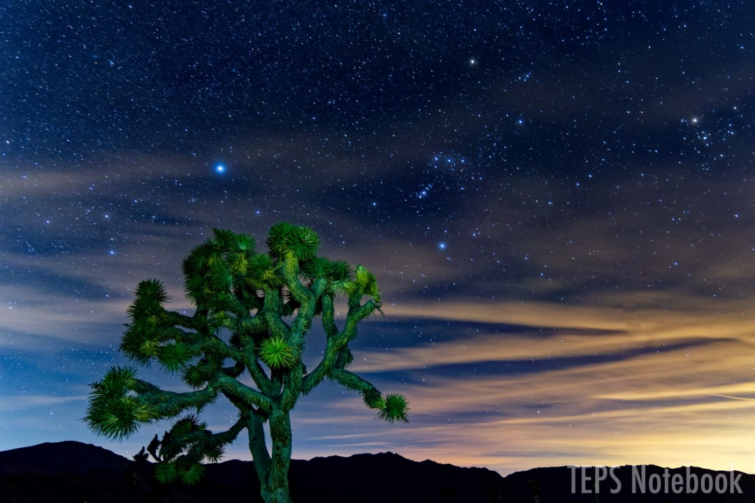 ライトの色を変えて撮ったジョシュアツリーと星空