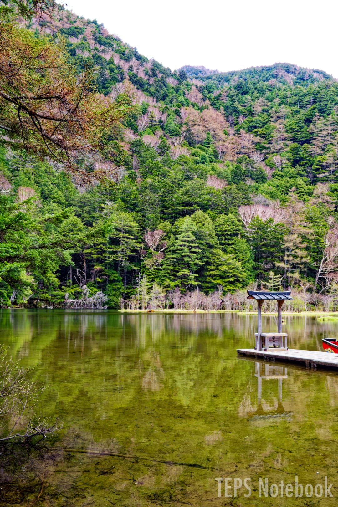 明神池と鳥居