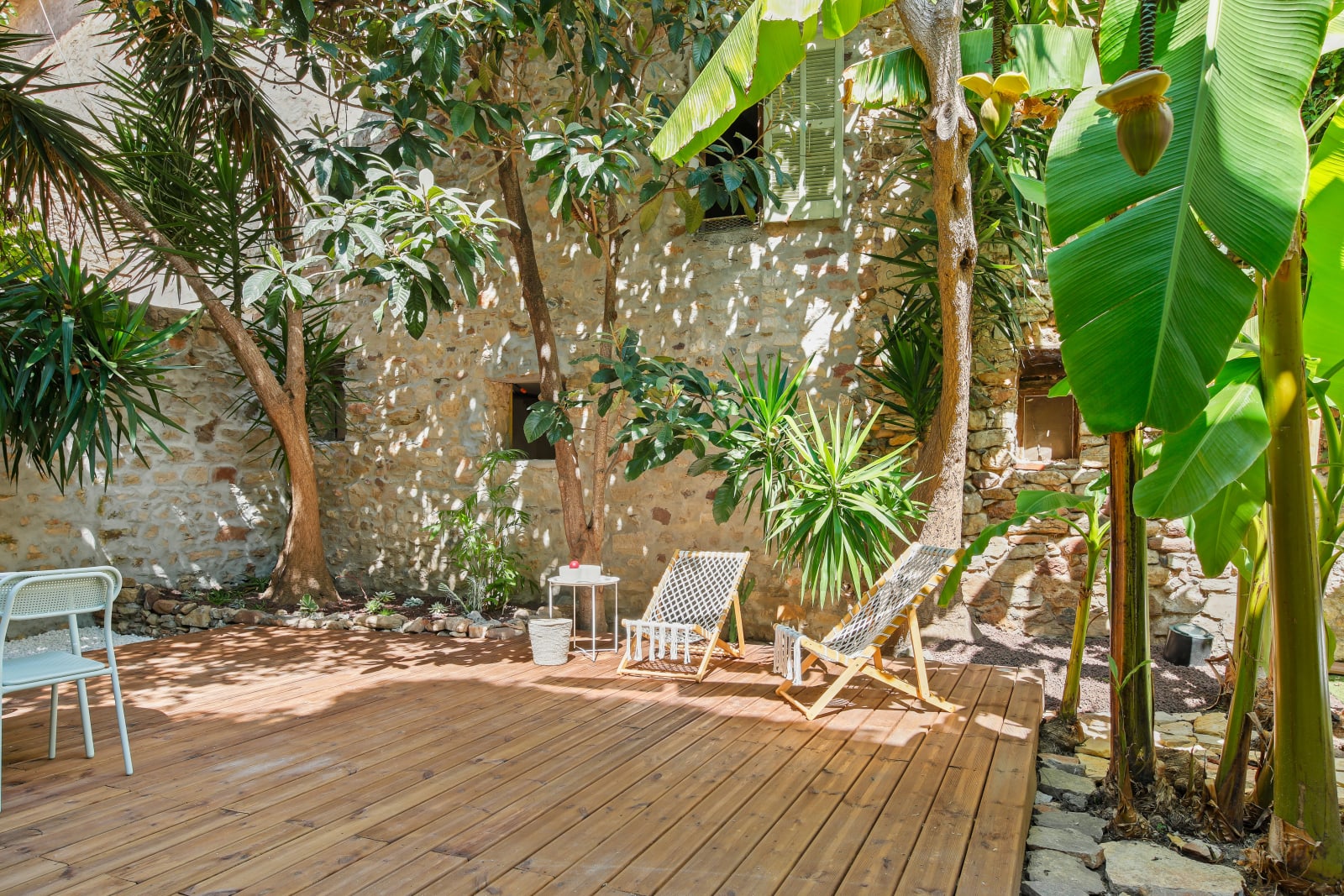 Végétation luxuriante du jardin