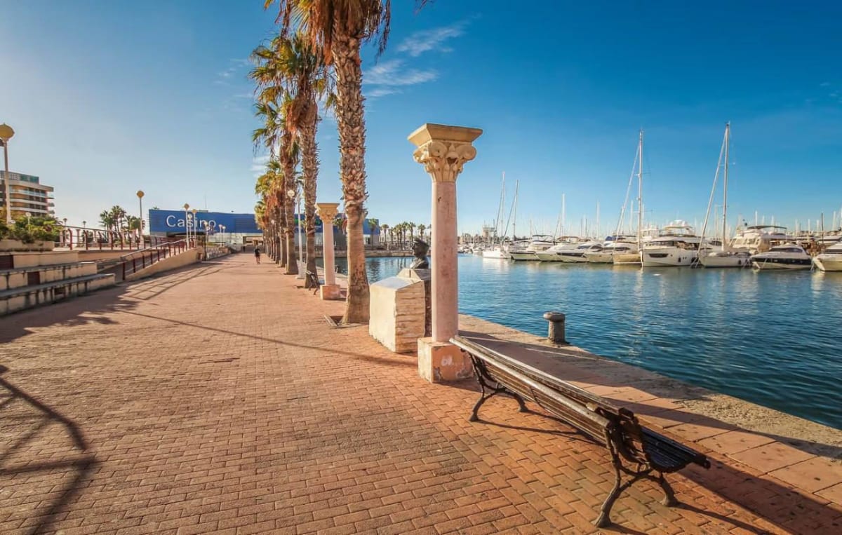 📍 Avinguda de la Costa Blanca, 102, Alacant 5
