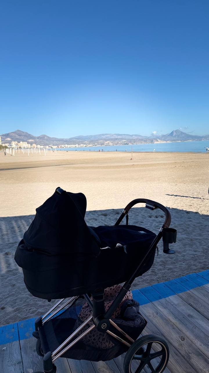 Cybex Priam Platinum