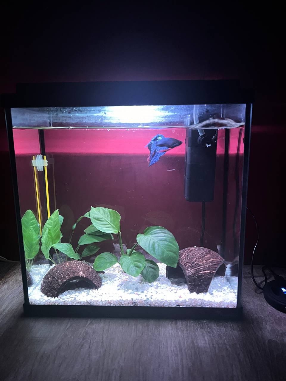 Аквариум - 180 € 3