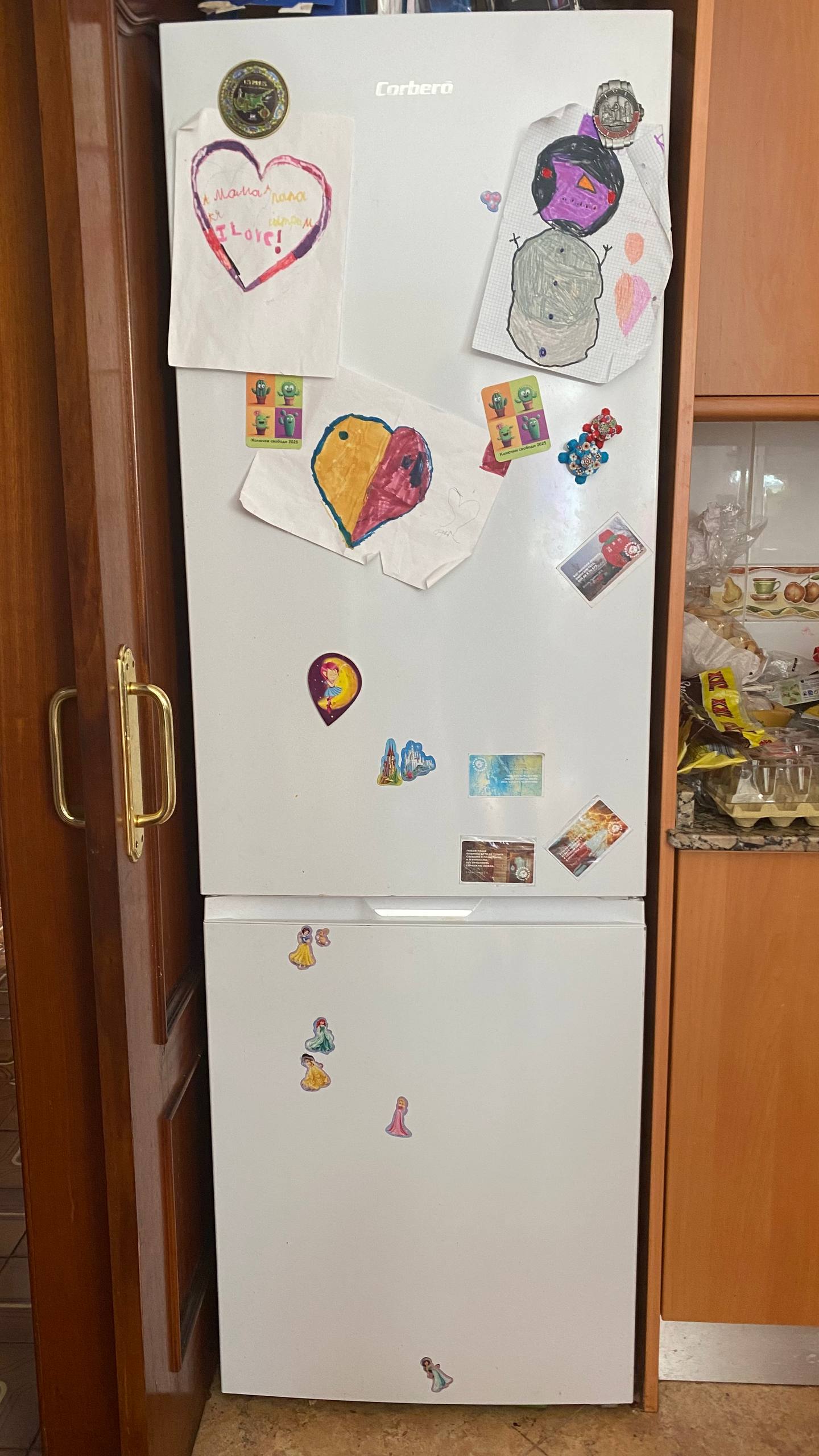 Продается комбинированный холодильник в рабочем состоянии. 186см высота. Был куплен в 2022 году. В о