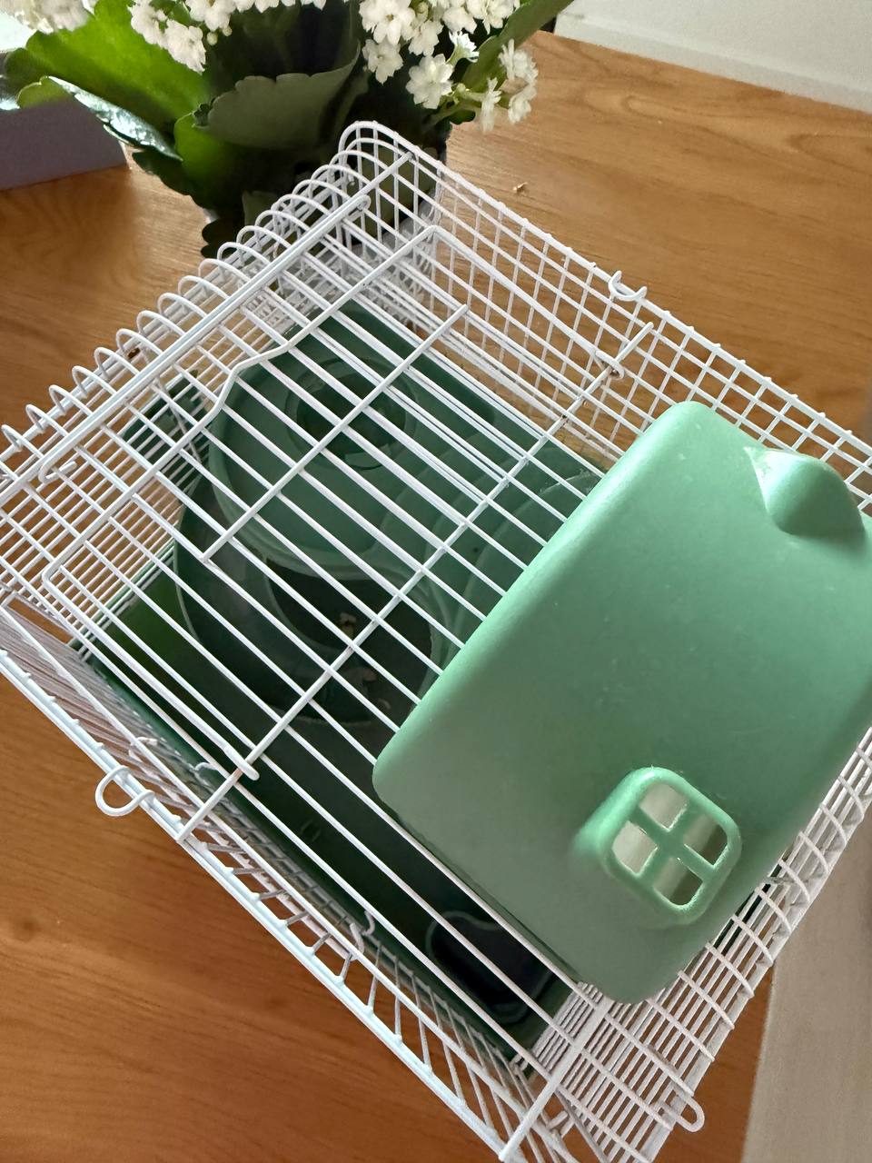 Продам клетку для хомяка🐹 3