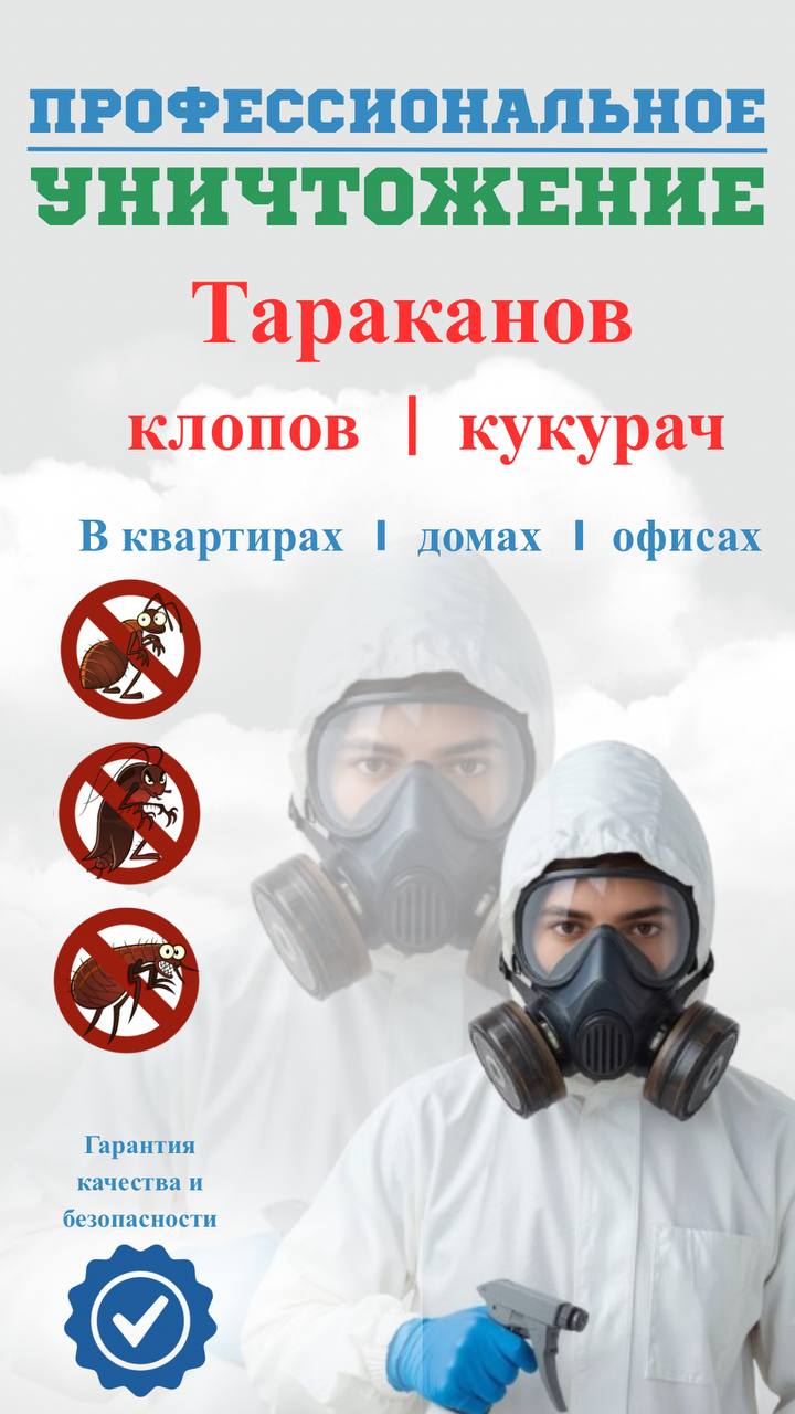 Дезинсекция и дератизация🪳