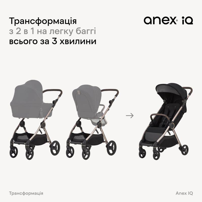 Коляска Anex IQ 3 в 1 premium колір Teddy