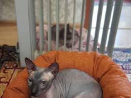 В Новокузнецке озвучили нормативы температуры в жилых помещениях в отопительный сезон