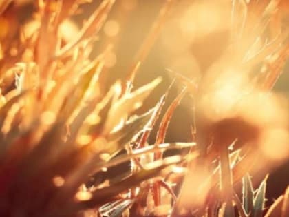 Синоптики Кузбасса резко поменяли прогноз и пообещали необычное