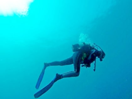 Ученые выяснили, чем опасно плавание в открытой воде