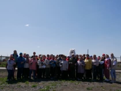 Скандинавская ходьба