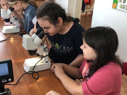 Исследования юннатов на экостанции